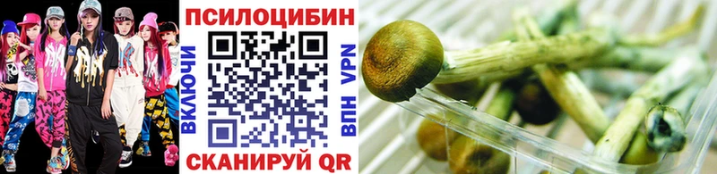 Псилоцибиновые грибы ЛСД где купить наркоту Одинцово